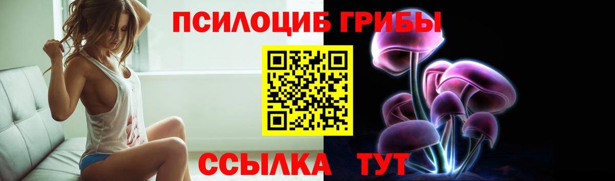 Галлюциногенные грибы Psilocybe  Вход с VPN  Фролово  Псилоцибиновые грибы мухоморы 